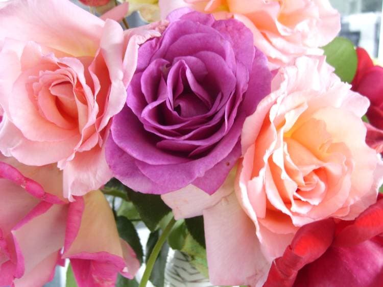 Rien n'égaye plus votre journée que d'être surpris par un joli bouquet de fleurs !