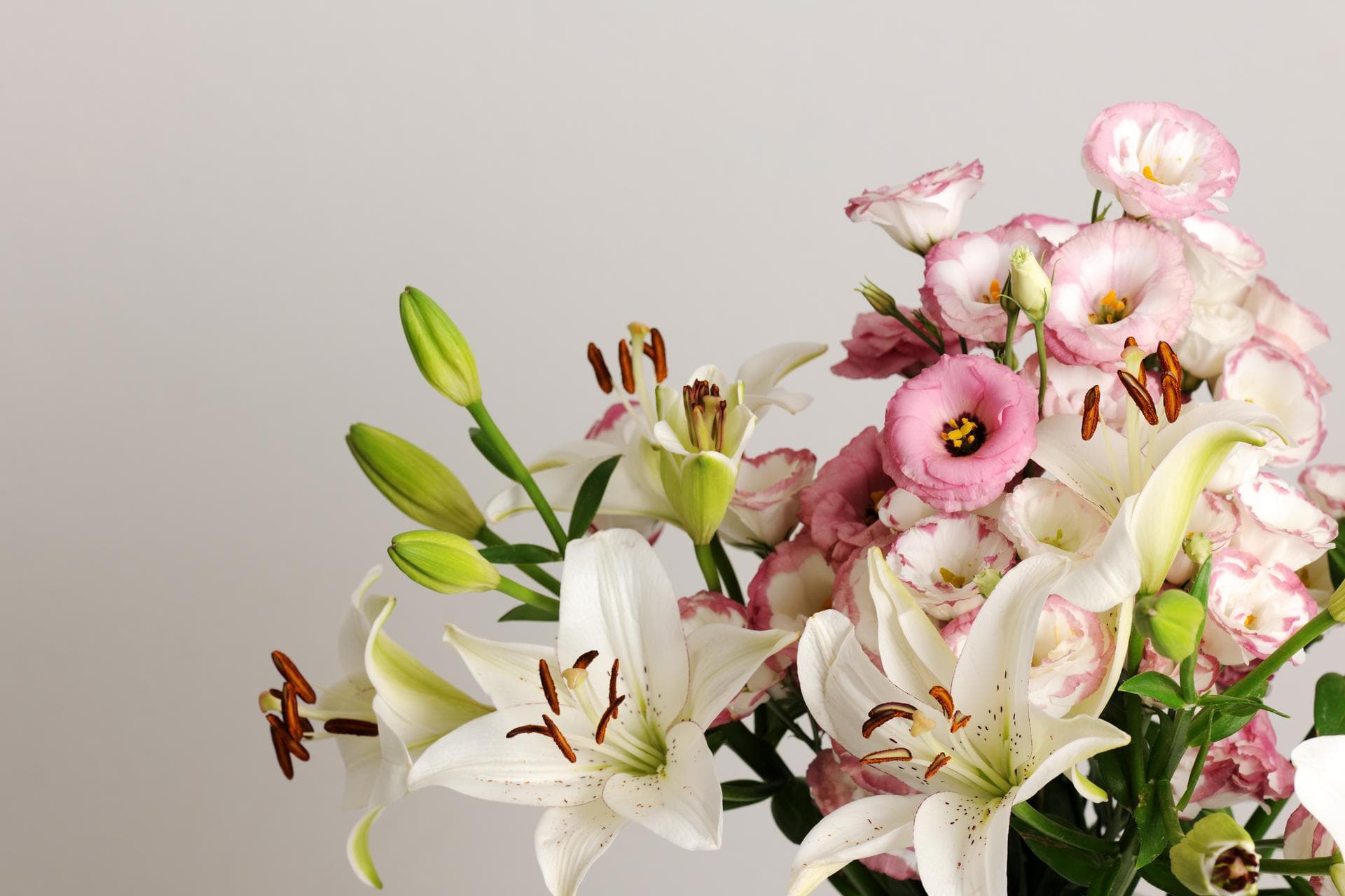 Envoyez des fleurs pouvant être livrées le jour même pour toutes les occasions. Un fleuriste local vous fournira vos fleurs et cadeaux le jour même à temps, et ils seront là quand vous les voudrez. Pour obtenir des arrangements de livraison de fleurs le jour même près de chez vous, commandez-les dès aujourd'hui!