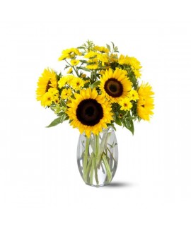 Tournesol Fleurs Cadeaux Lefleuristecom